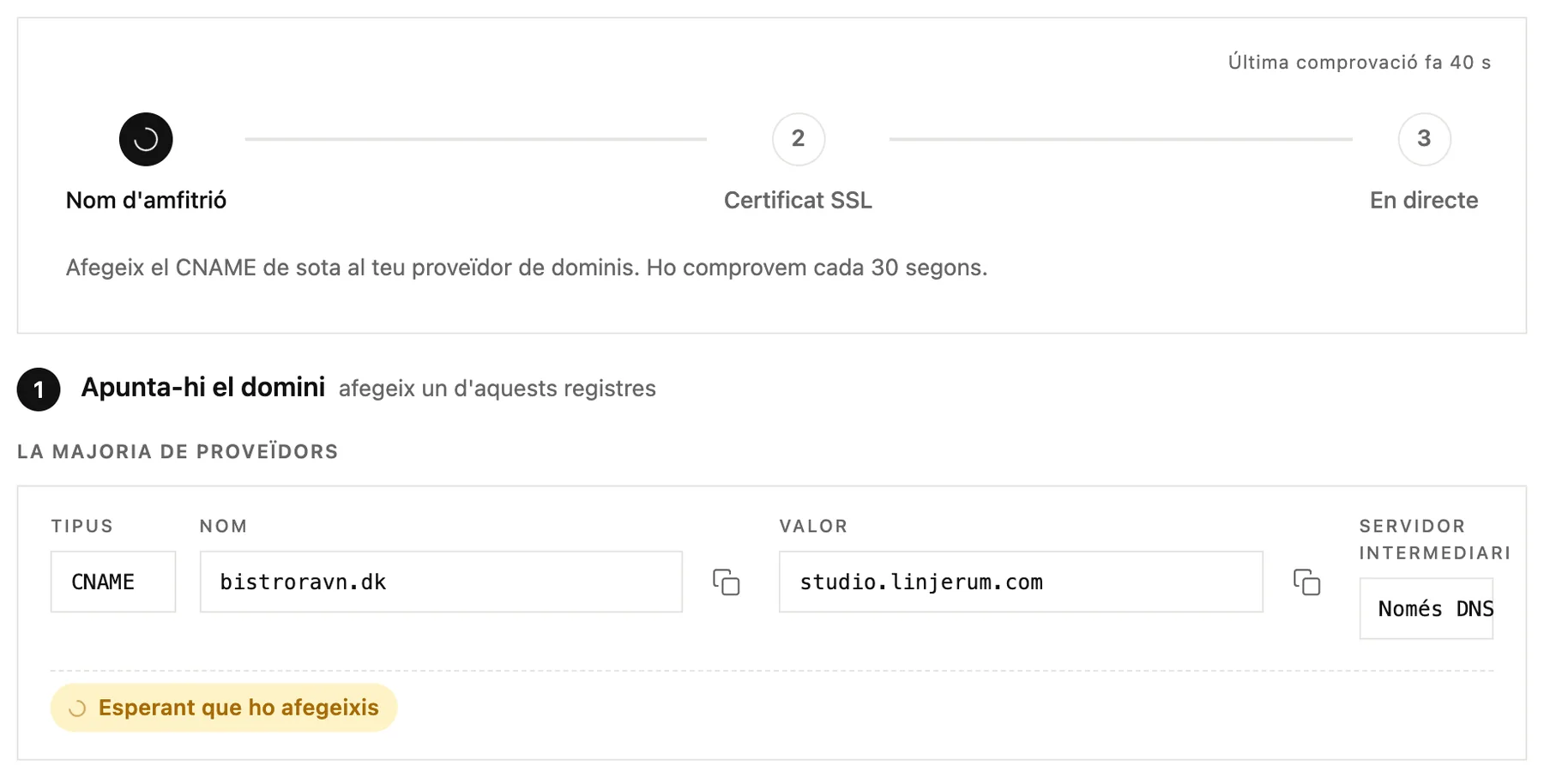 Els passos del progrés i el registre CNAME que has d'afegir al teu proveïdor de domini