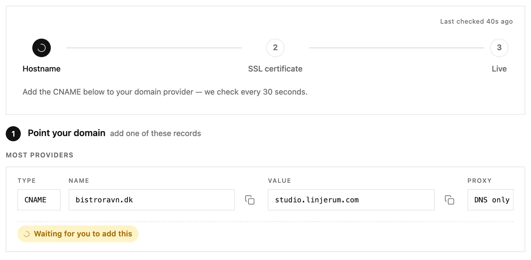 The progress steps and the CNAME record to add at your domain provider