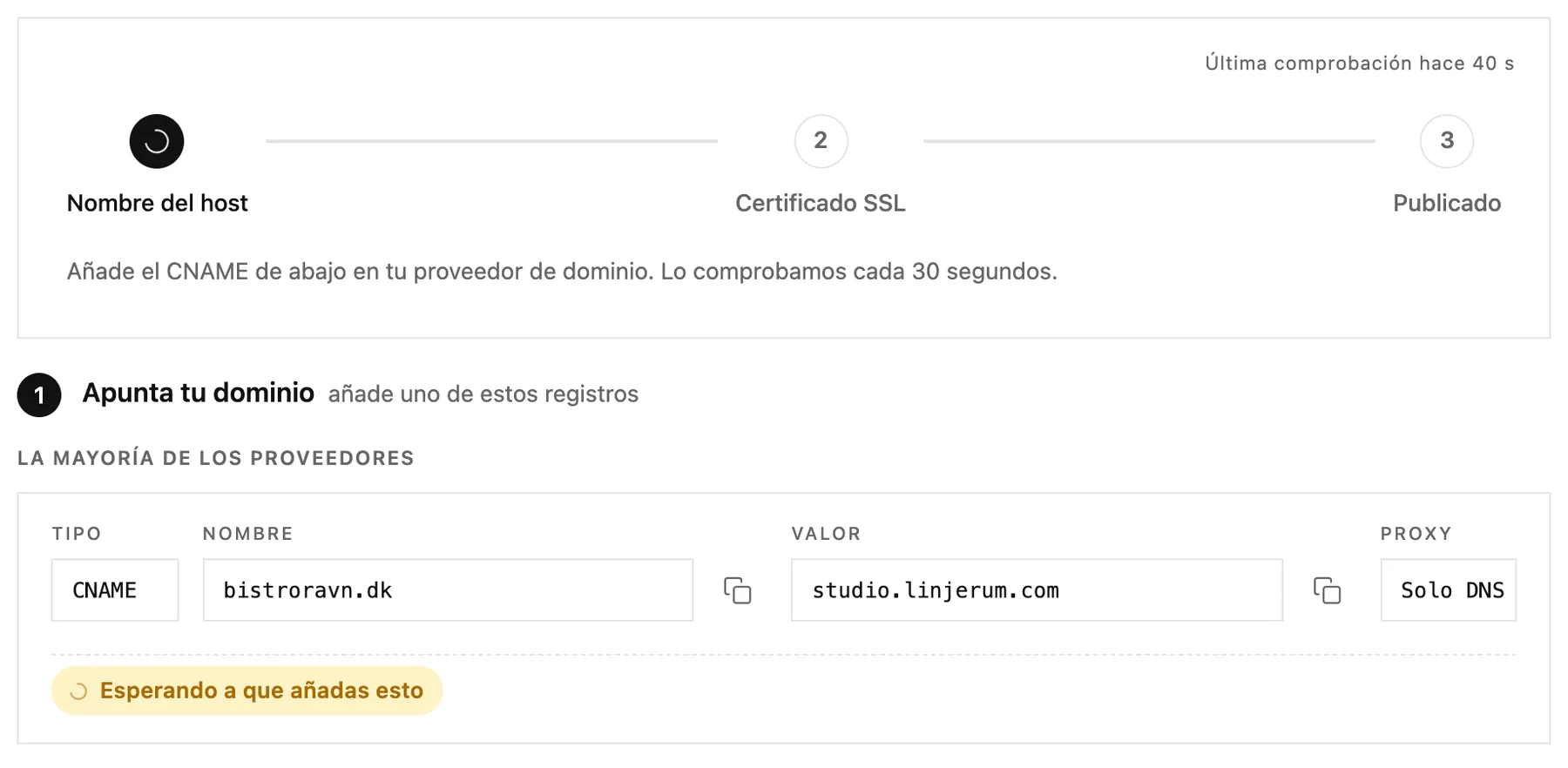 Los pasos del progreso y el registro CNAME que tienes que añadir en tu proveedor de dominio