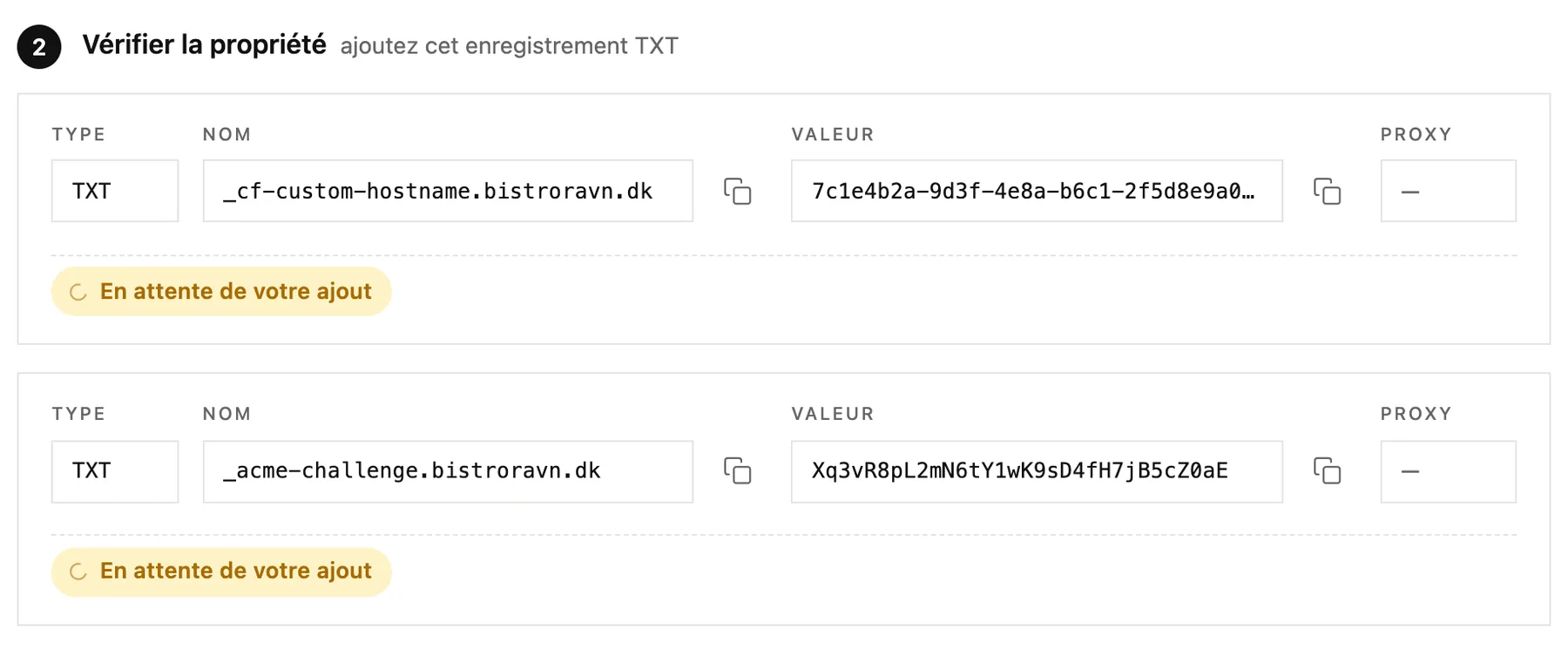 Les enregistrements TXT qui prouvent que vous êtes propriétaire du domaine