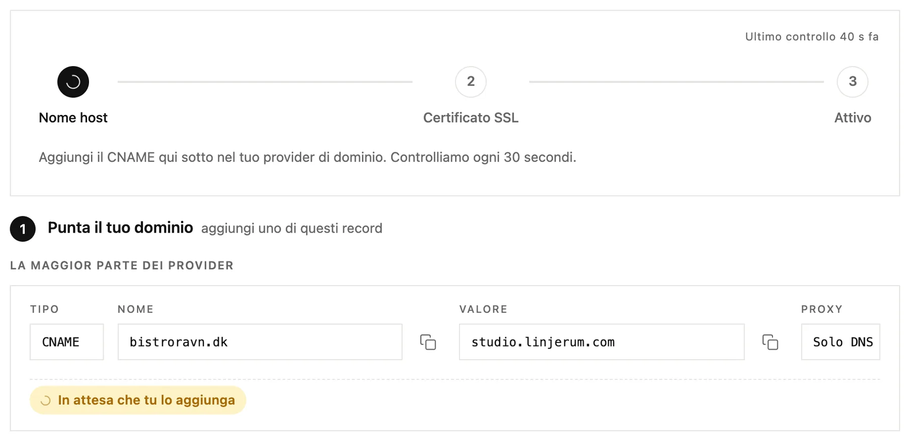 I passaggi di avanzamento e il record CNAME da aggiungere presso il tuo provider di dominio