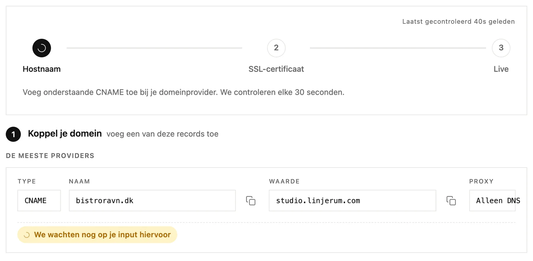 De voortgangsstappen en het CNAME-record dat je bij je domeinprovider moet toevoegen