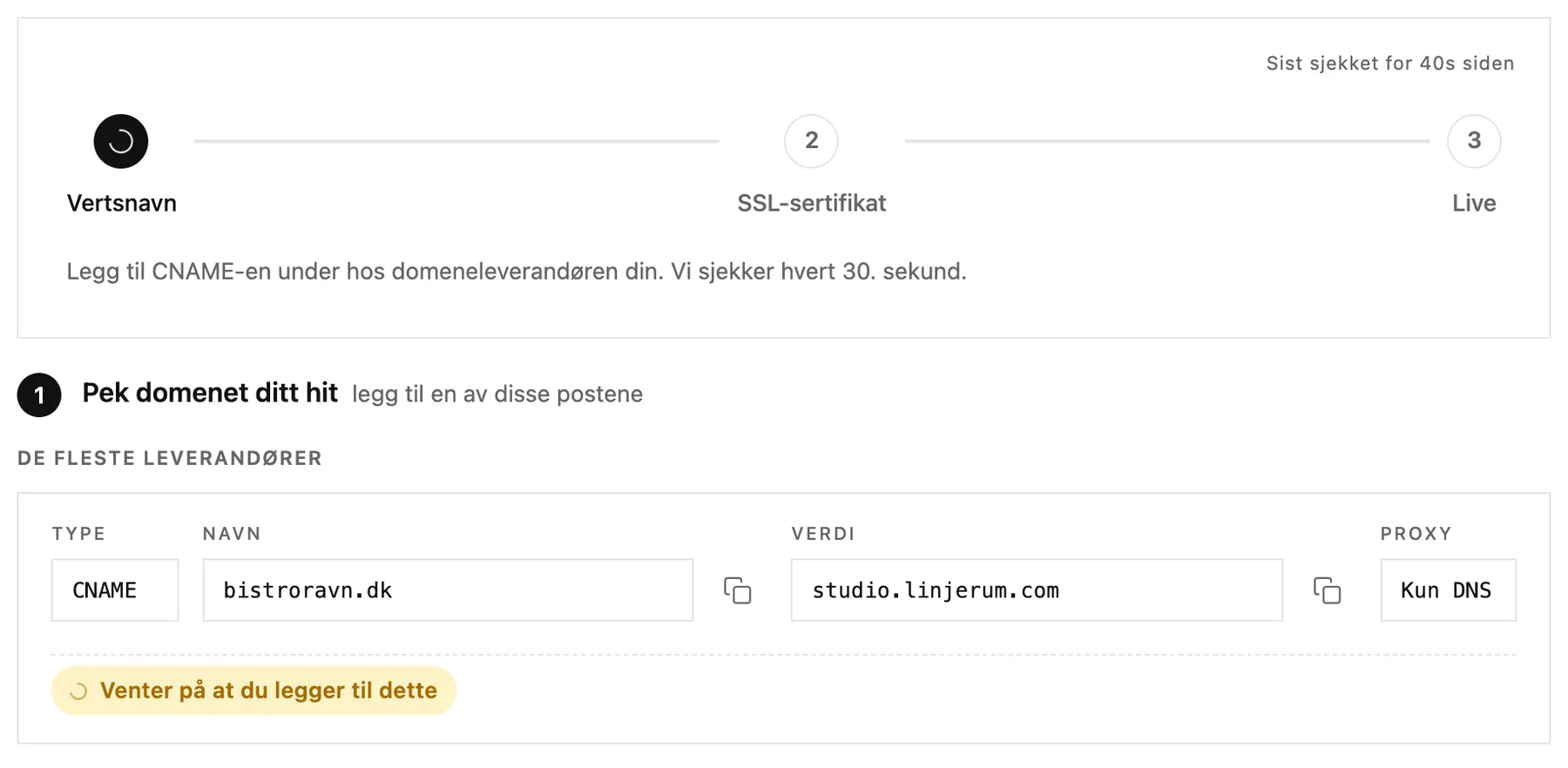 Fremdriftstrinnene og CNAME-posten du skal legge til hos domeneleverandøren din