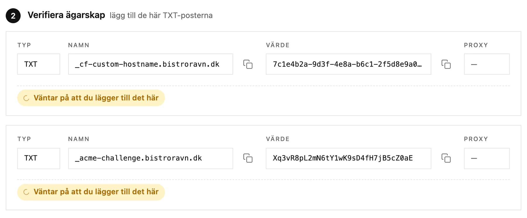 TXT-posterna som visar att du äger domänen